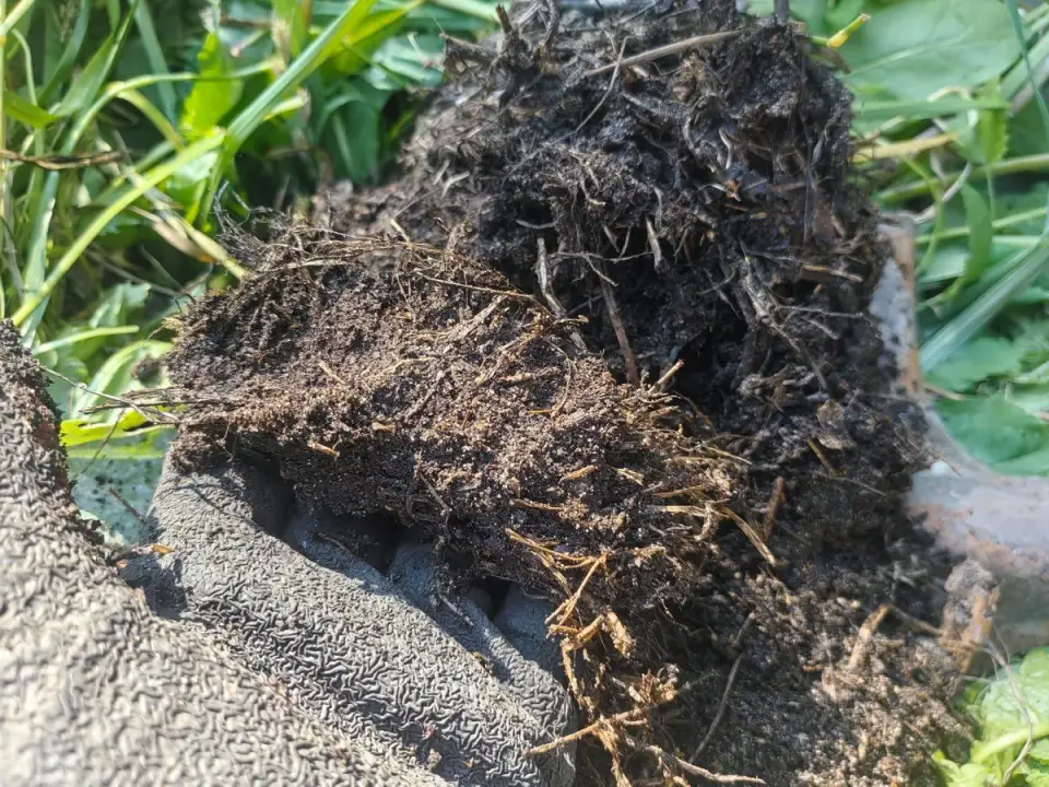 Kaip pagreitinti kompostavimą 2