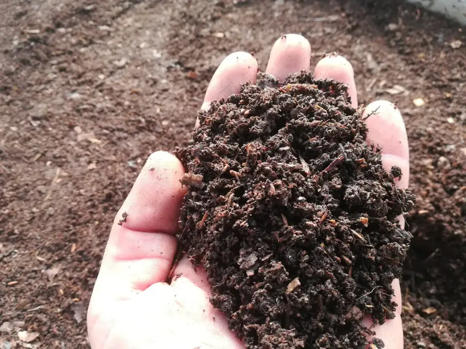 Kaip pagreitinti kompostavimą