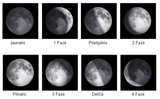 Visos menulio fazes Visos menulio fazes