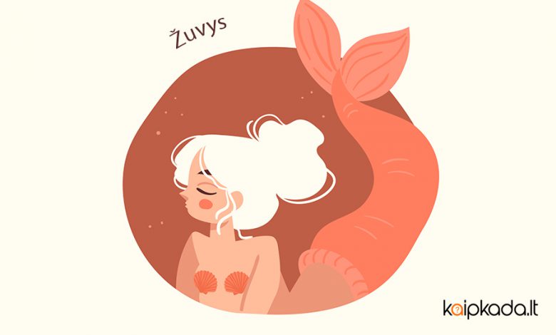 Zuvys zodiako zenklas