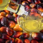 Palmių branduolių aliejus