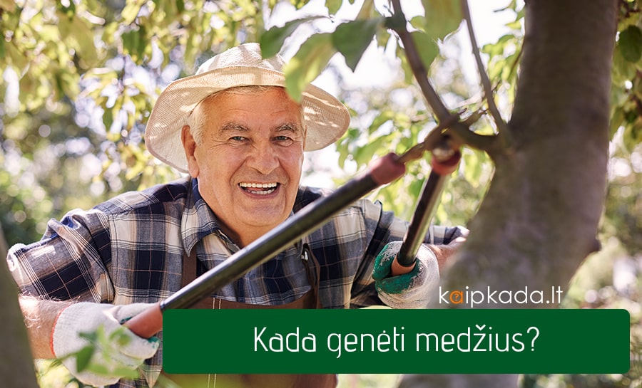 kada geneti medzius min