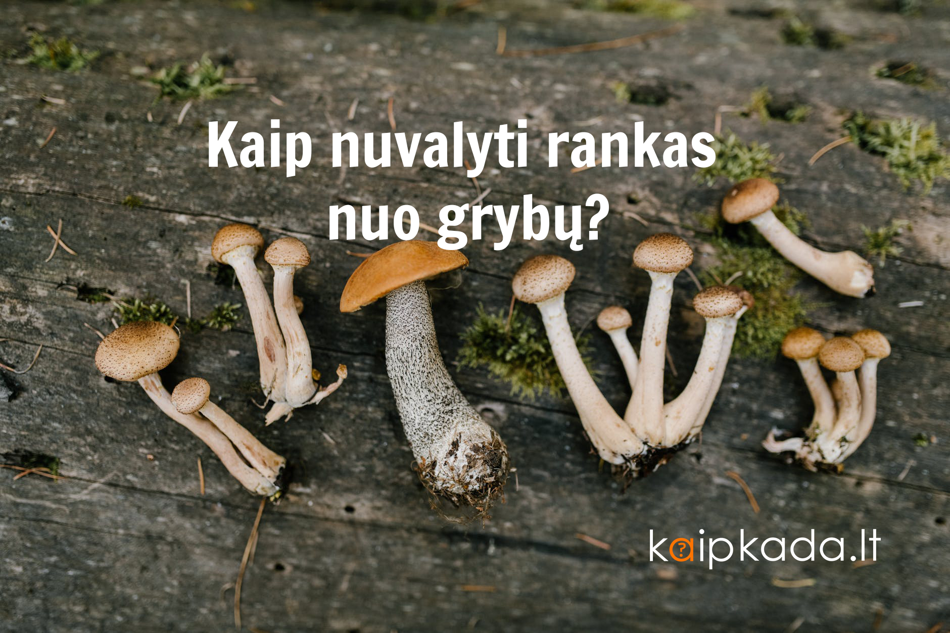 Kaip nuvalyti rankas nuo grybu