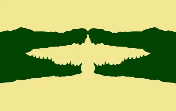 3 nuotrauka
