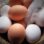 Kuo skiriasi rudi ir balti kiaušiniai - atsakymas