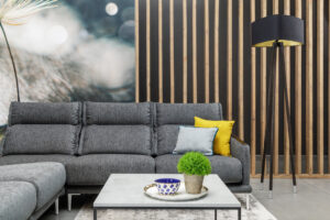 Minkšti baldai su miegamu mechanizmu