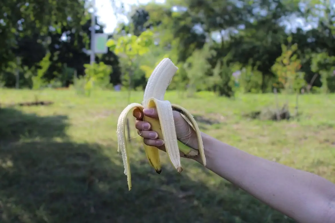 Banano valgymas