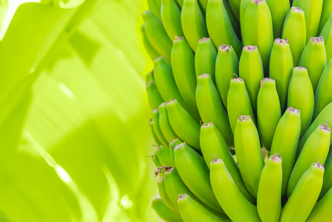 Žali bananai