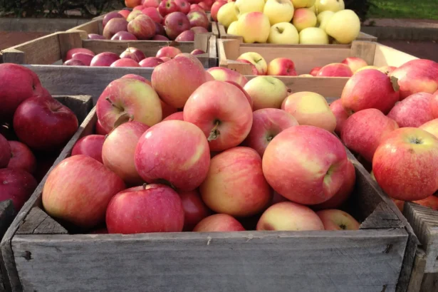 Kaip išsirinkti tikrai skanius obuolius