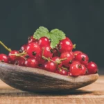 Rūpinimasis serbentais