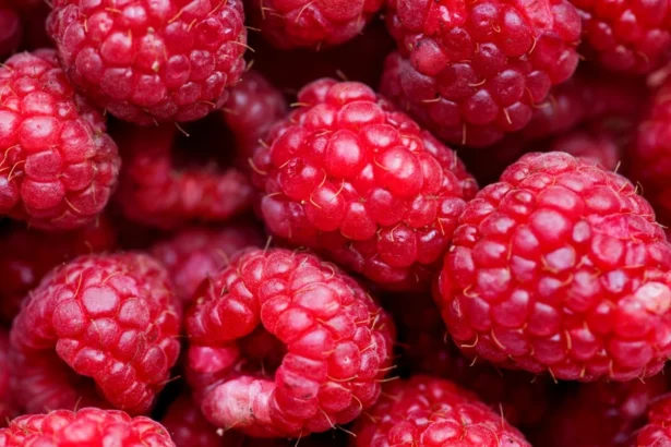 Skanios avietės jūsų sode