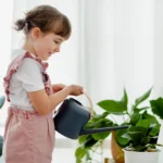 Kaip teisingai laistyti kambarinius augalus