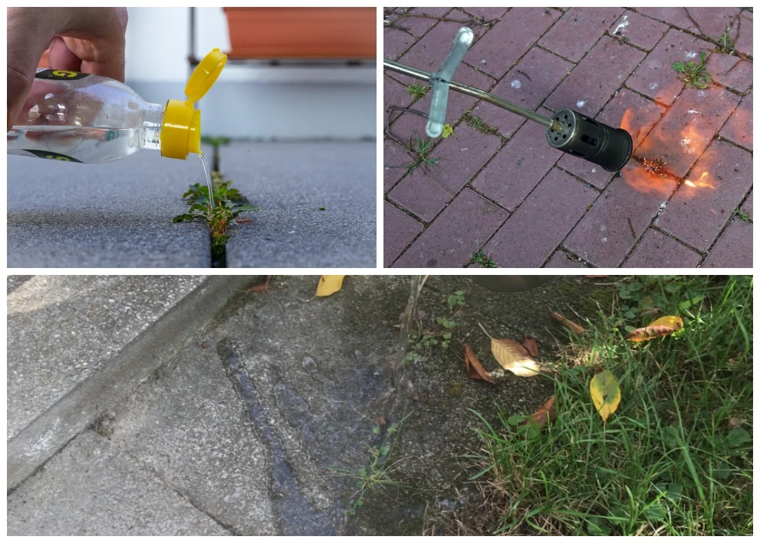 4 būdai panaikinti samanas ir piktžoles