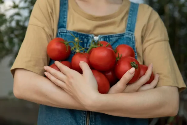 Ekologiški pomidorai