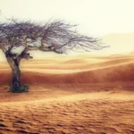 4 Zodiako ženklų laukia neįtikėtini pokyčiai