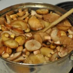 Verdami grybai