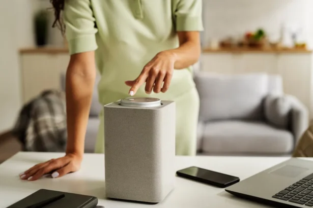 Geras drėkintuvas namuose