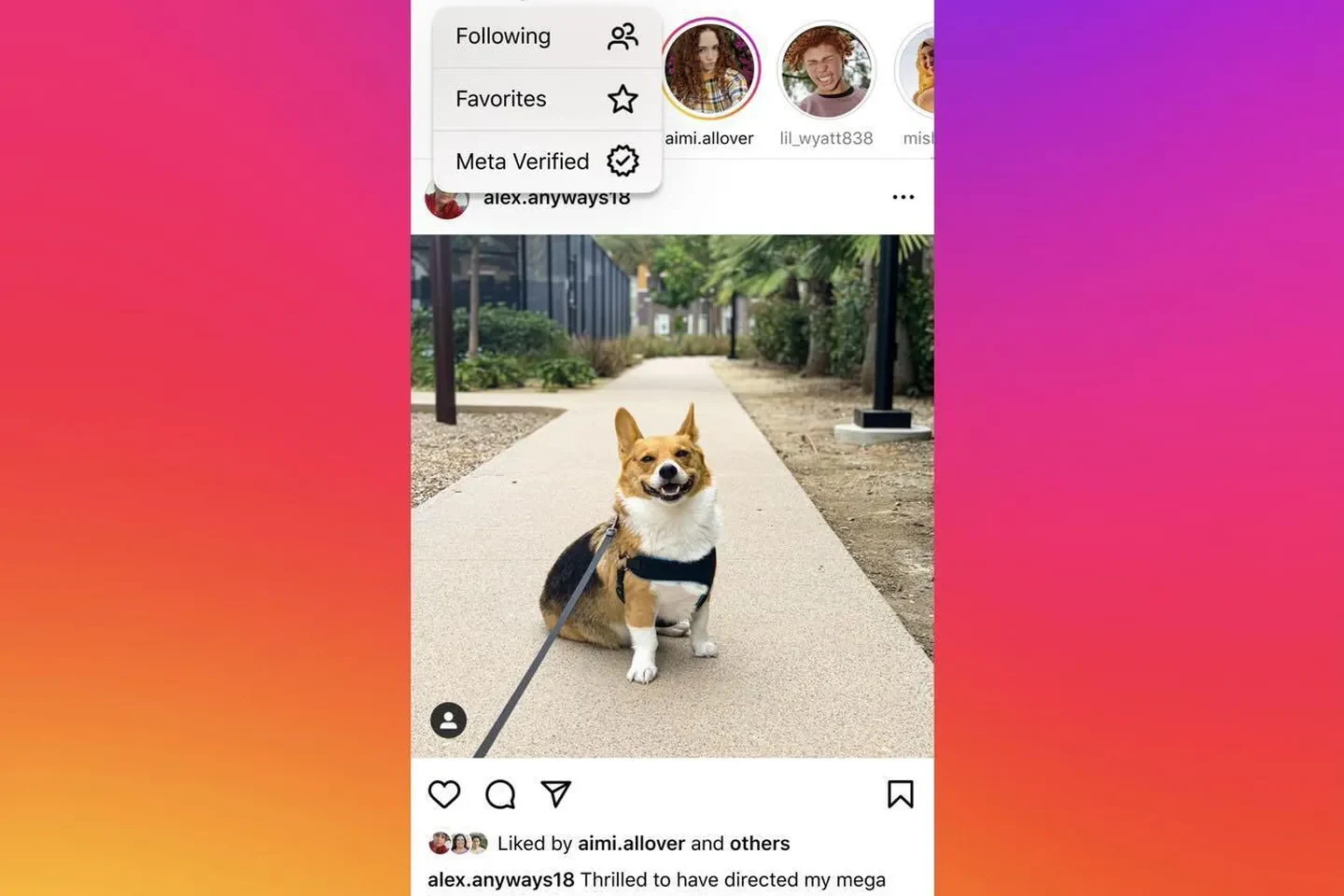 Naujas kanalas Instagram / Meta nuotr.