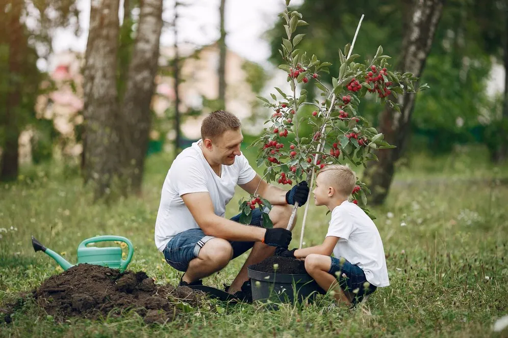 Triukas, kurį naudoja patyrę vaismedžių augintojai