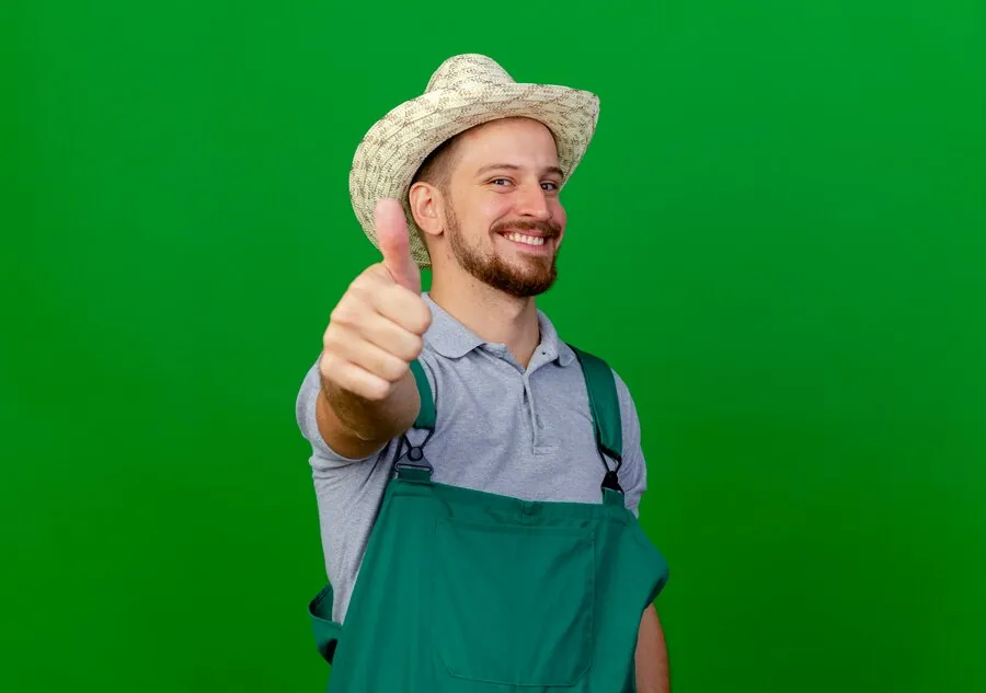 Rekomenduojama tręšti pelenais