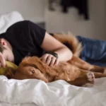 Kiek valandų reikėtų miegoti per parą