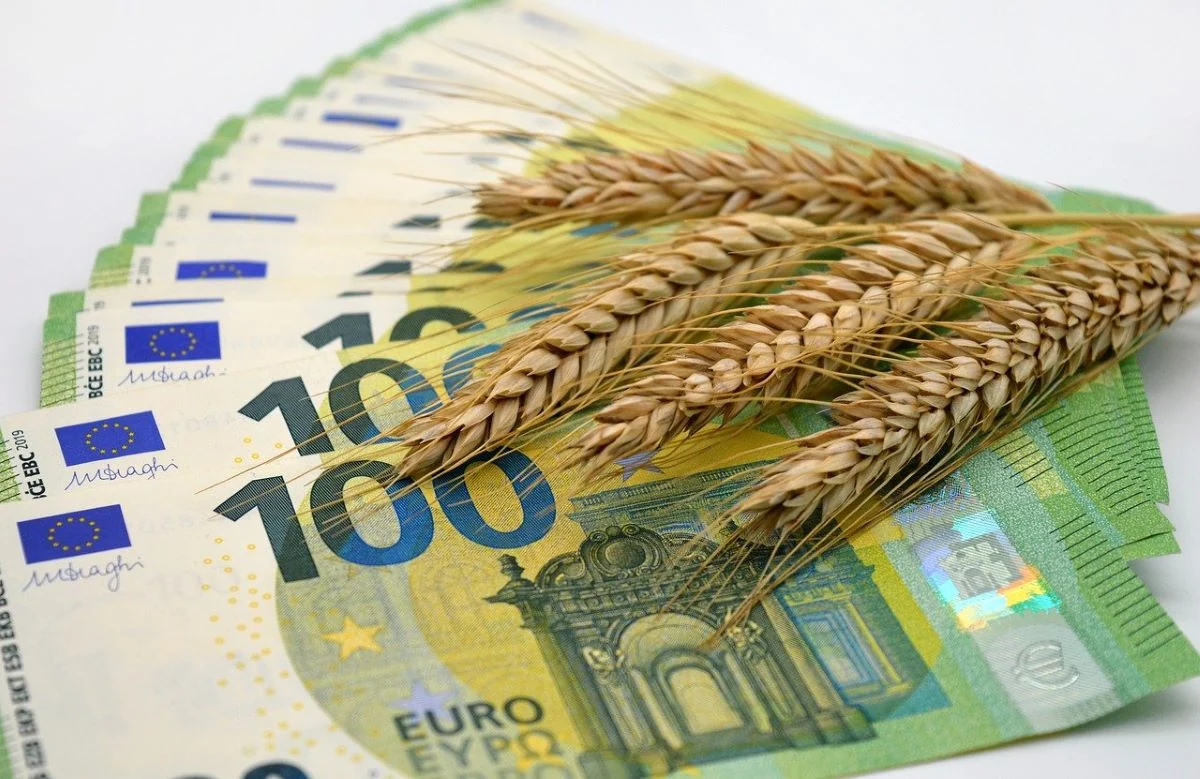 Maisto produktų kainos žiemą kils