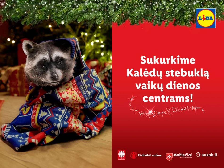 Sukurkime Kalėdų stebuklą vaikų dienos centrams!