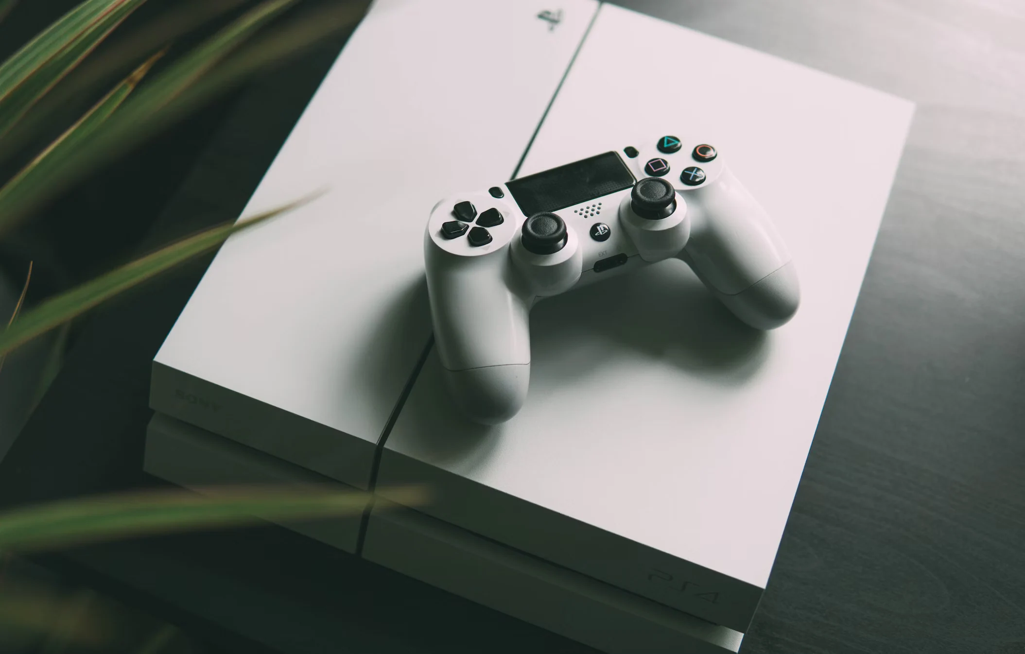 Blokuojamos PlayStation Network paskyros