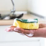Kaip dažnai reikia keisti indų plovimo kempinę