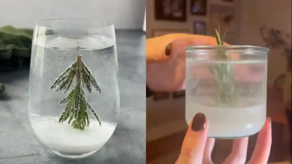Snow Globe kokteilis