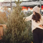 Tobulos eglutės pasirinkimas