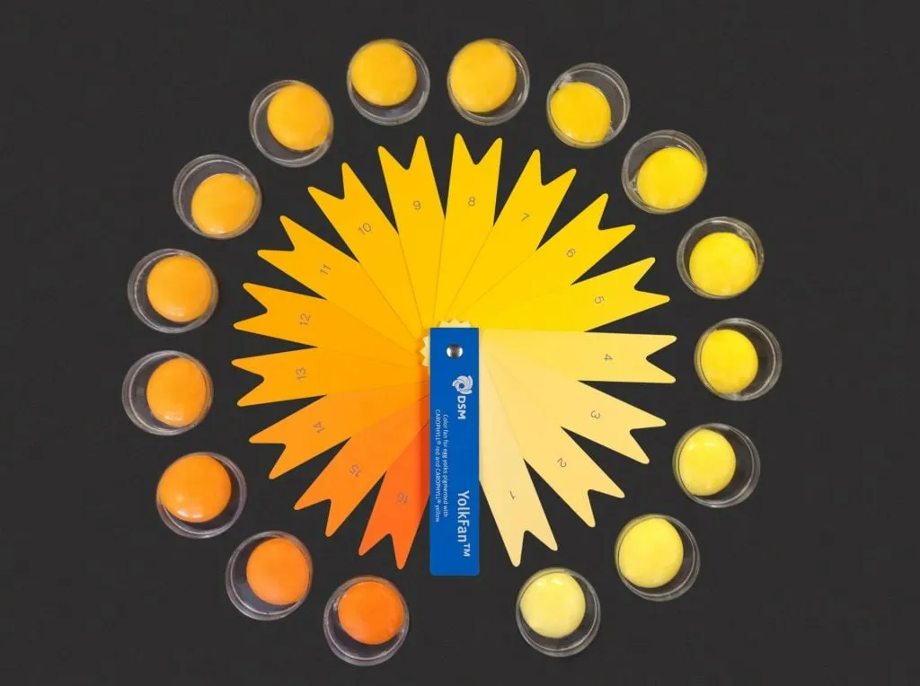 DSM YolkFan skalė