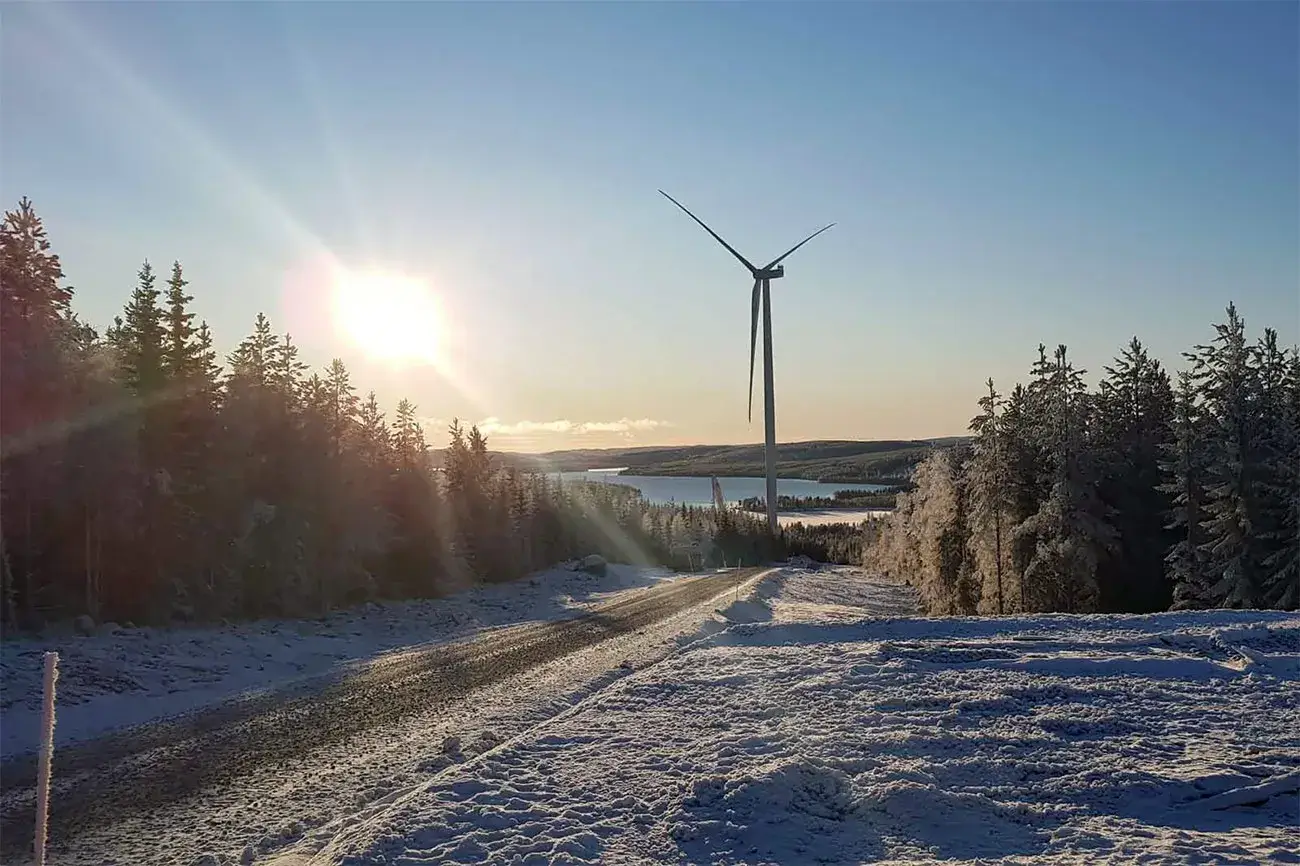 Elektros energija pigo dėl vėjo jėgainių