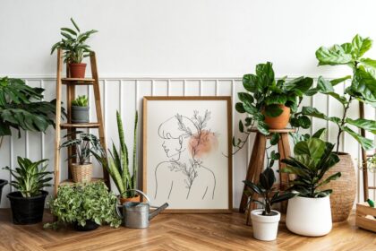 Labai blogas patarimas – tai tik pakenks jūsų kambariniams augalams