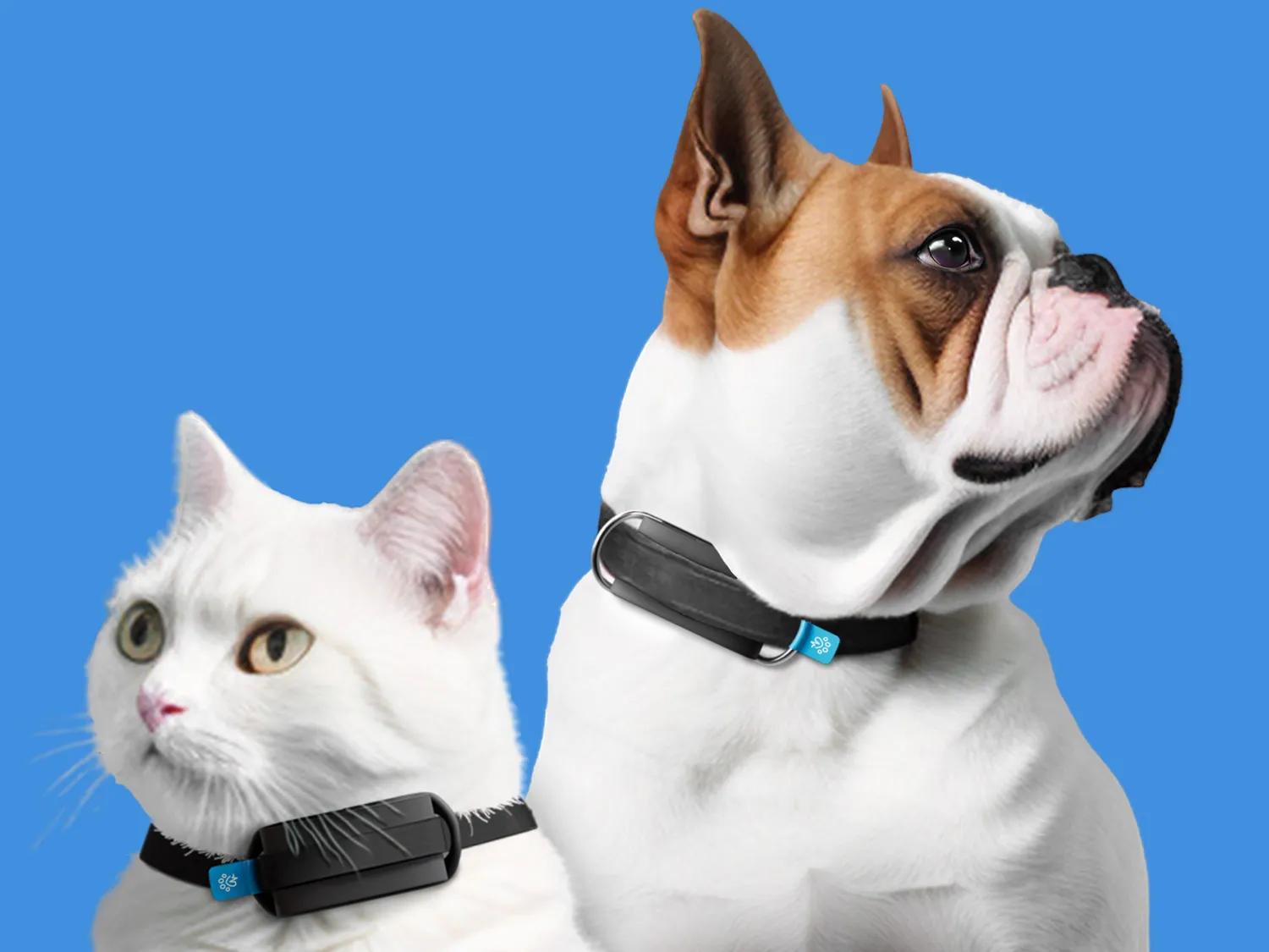 Minitailz smart pet tracker seklys