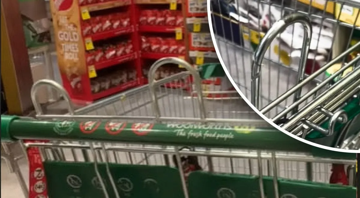 Ant vežimėlių esantys kabliukai