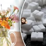 Cukraus kubelis vazoje