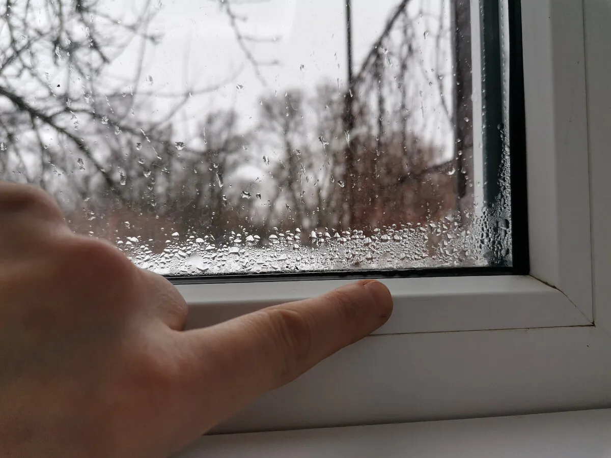 Kondensatas ant langų rėmų