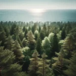 Apgyvendinimas Palangoje / DI sugeneruota nuotr.