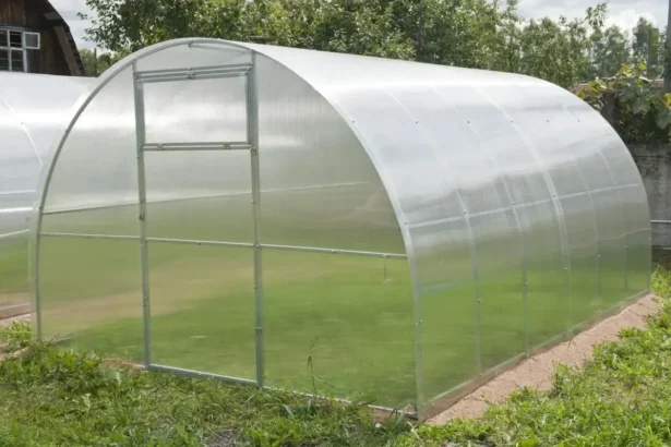 Kaip išvalyti ir nuplauti šiltnamį