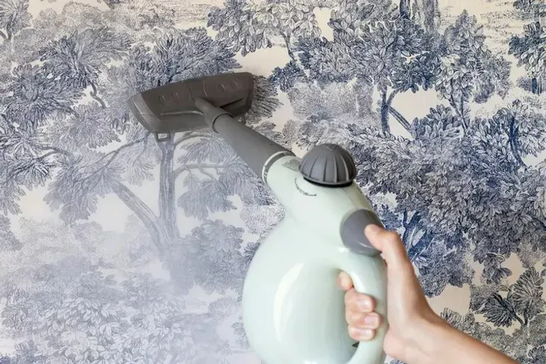 Tapetų šalinimas garintuvu