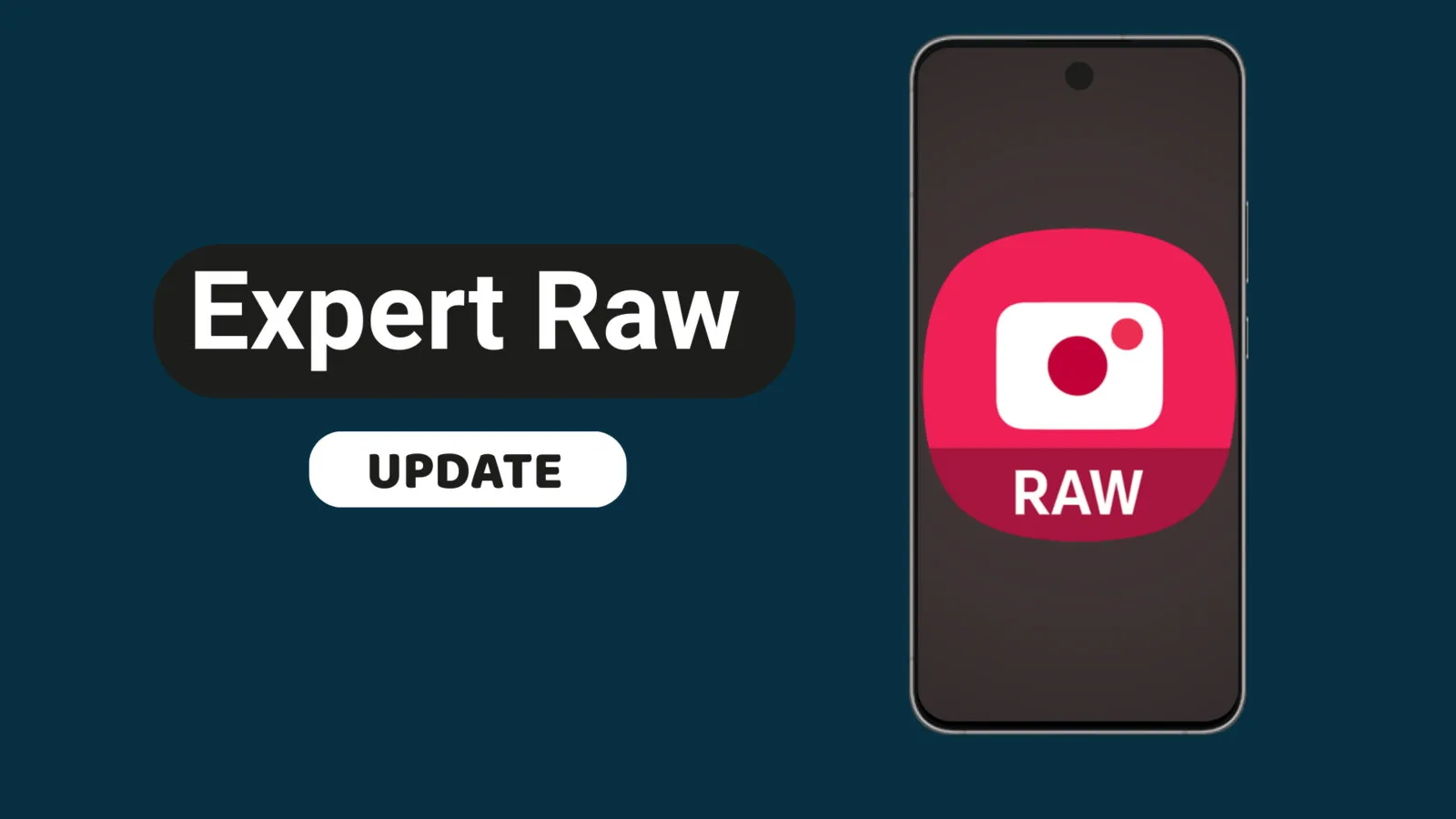 Expert RAW programa