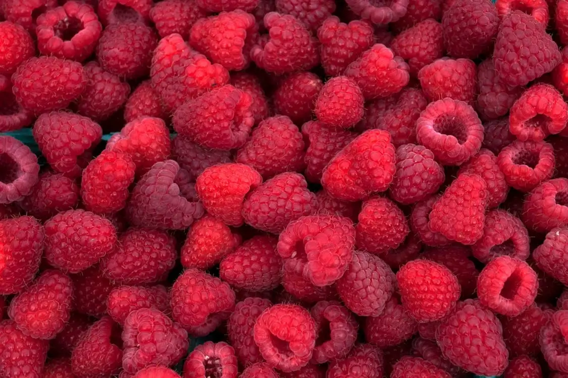 Pavojingos trąšos avietėms