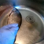 Žuvų žvynų valymas