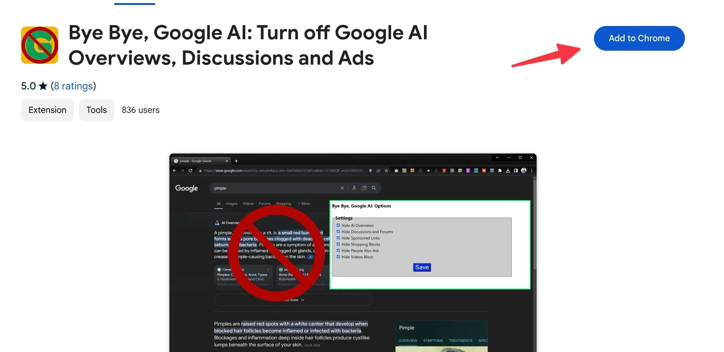 Bye Bye, Google AI