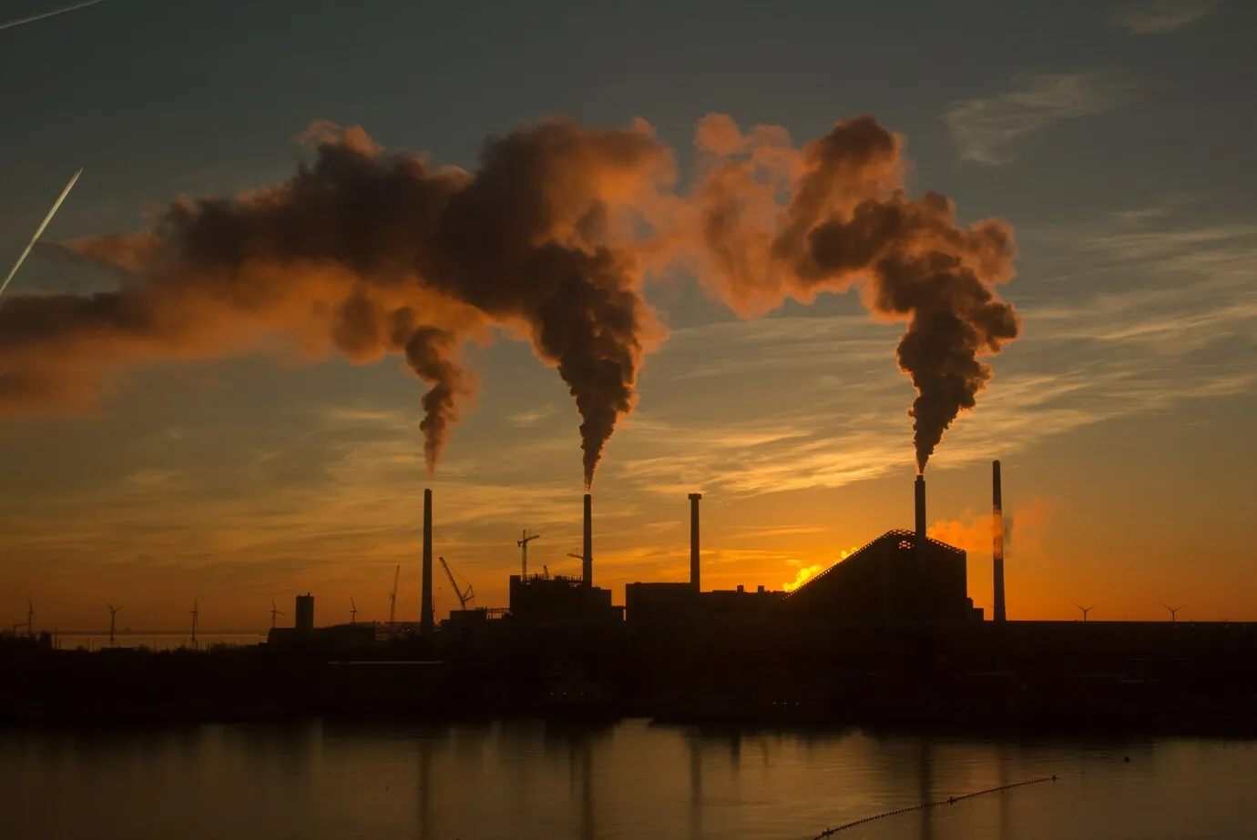 CO2 koncentracija didėja