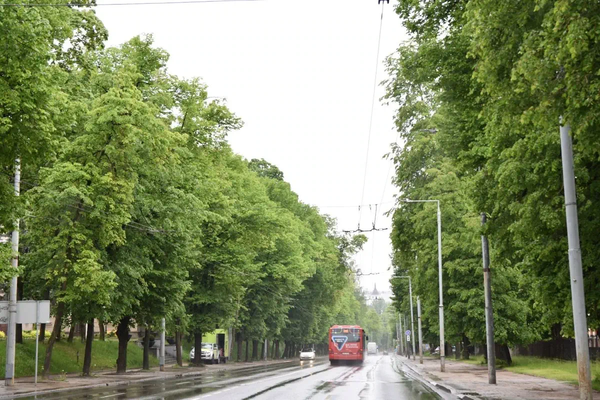 L. Poškutės nuotr.