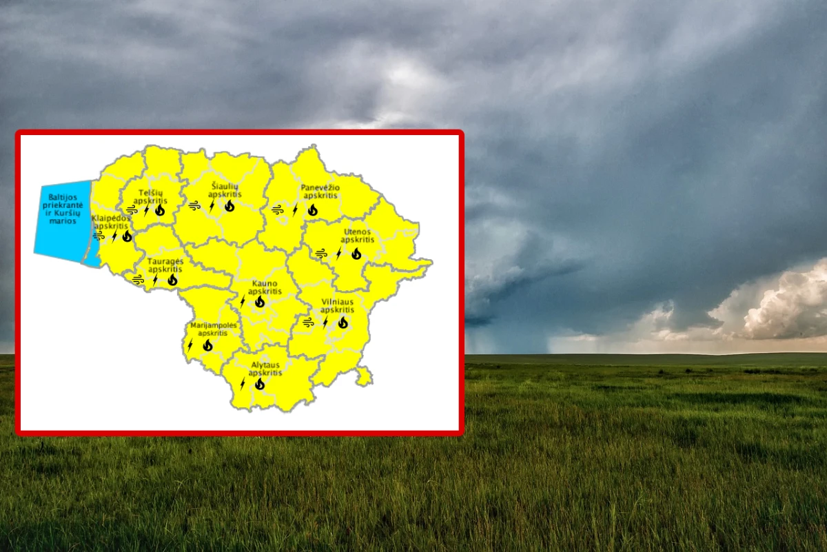 Liūtys Lietuvoje