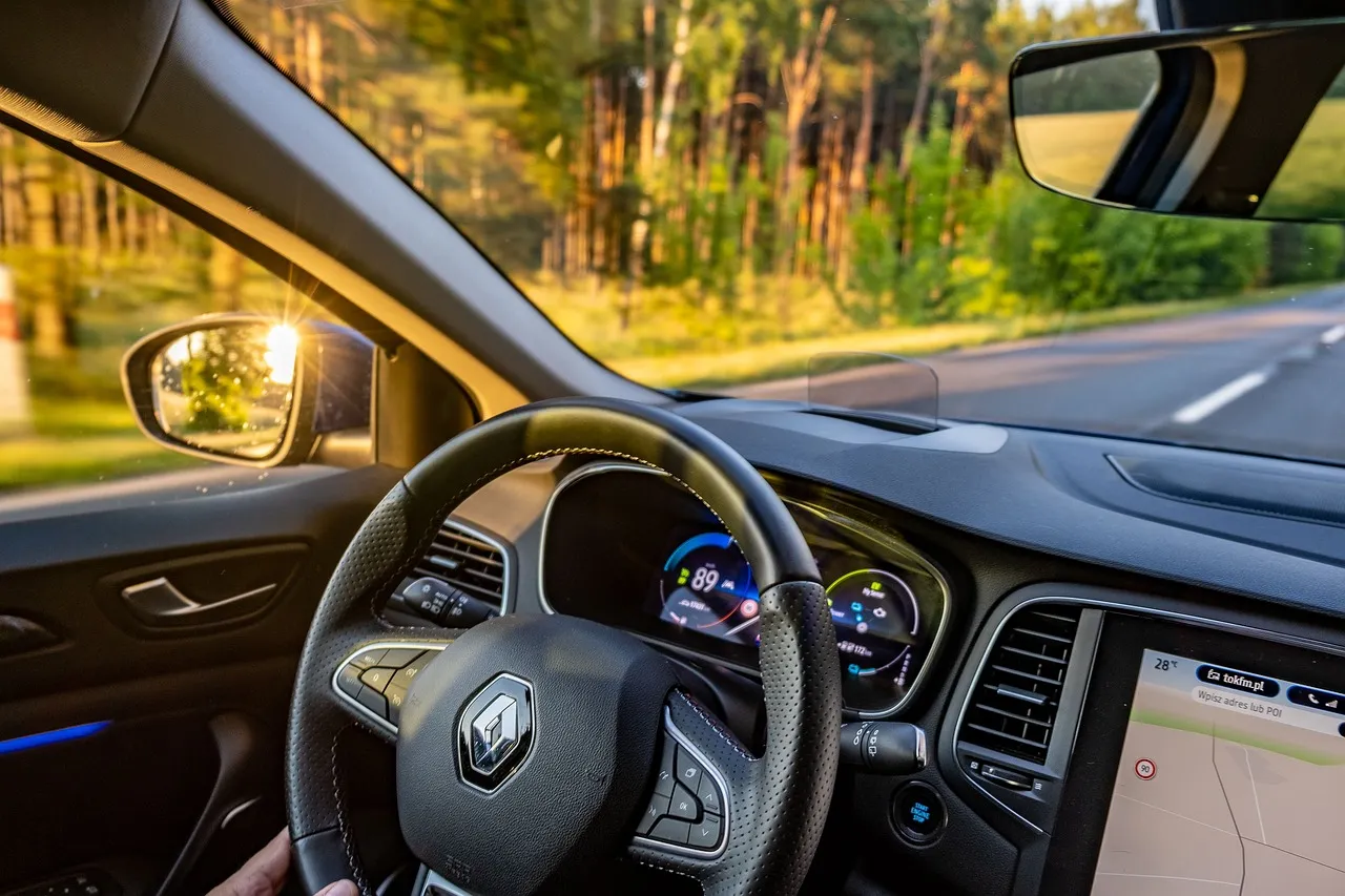 Renault automobilio vidus