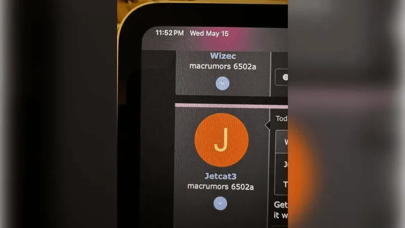 iPad Pro ekranų grūdėtumas / Reddit nuotr.